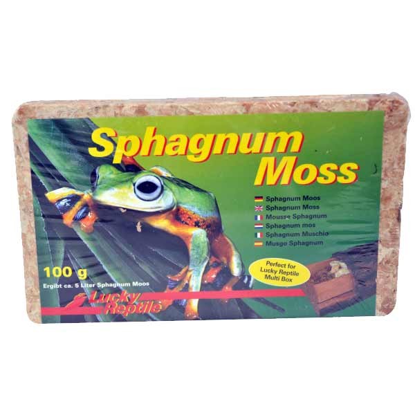 Lucky Reptile Spaghnum Moss Brick 100g SM-100