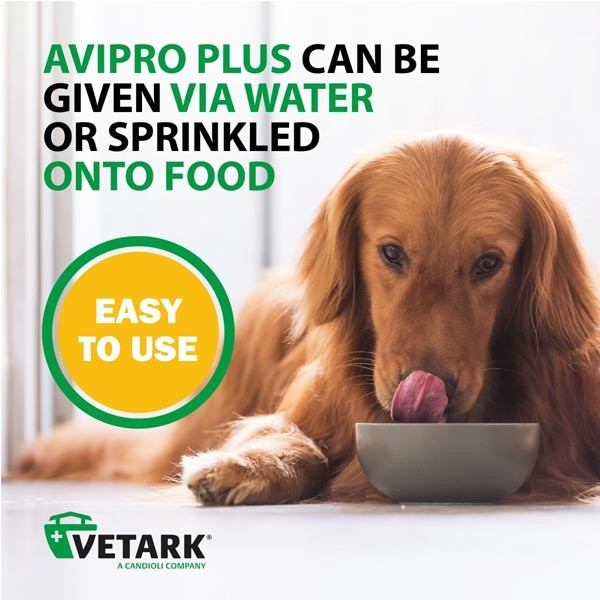 Vetark Avipro Plus Probiotic for Dogs 100g