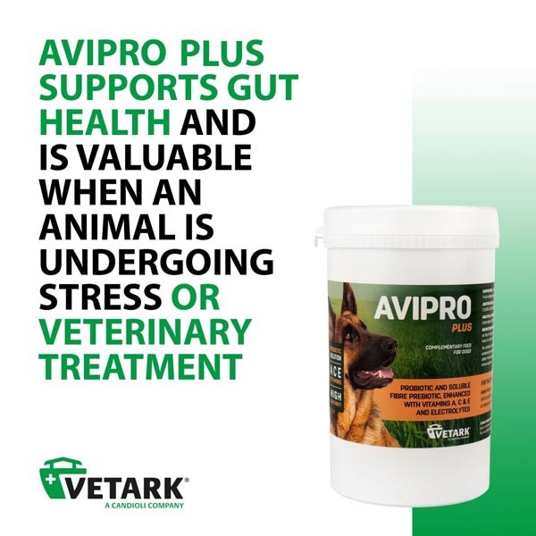 Vetark Avipro Plus Probiotic for Dogs 100g