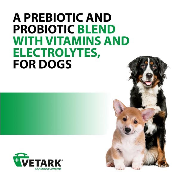 Vetark Avipro Plus Probiotic for Dogs 100g