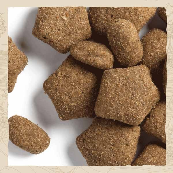 Beta Chicken Puppy 2kg Dry Dog Food