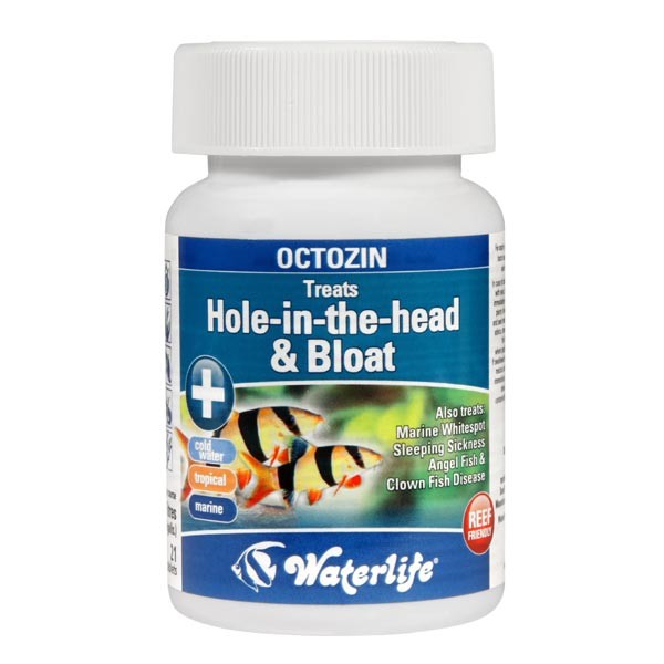 Waterlife Octozin (Hole in the head & Bloat) 80 Pack