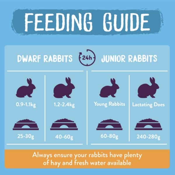 Burgess Excel Rabbit Junior & Dwarf Nuggets Mint 10kg