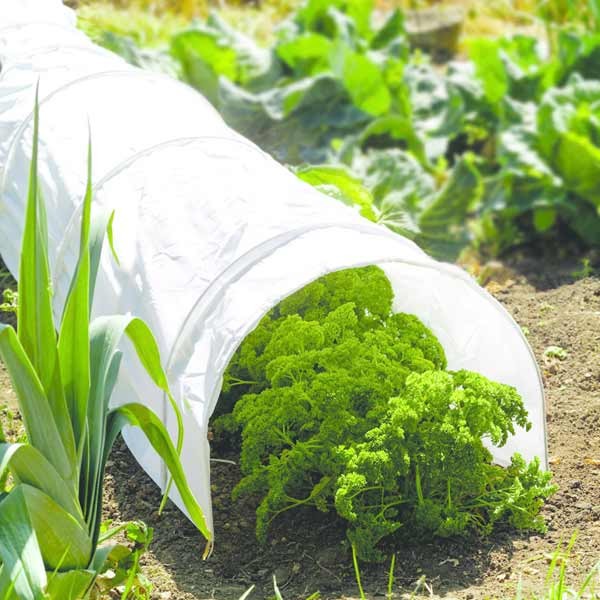 Grow it Polythene Grow Tunnel