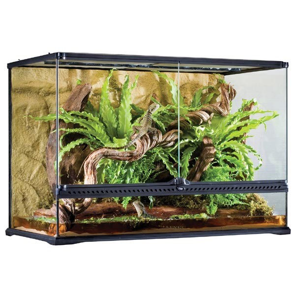 Exo Terra Advanced Glass Reptile Habitat Terrarium Large Tall 90x45x60cm