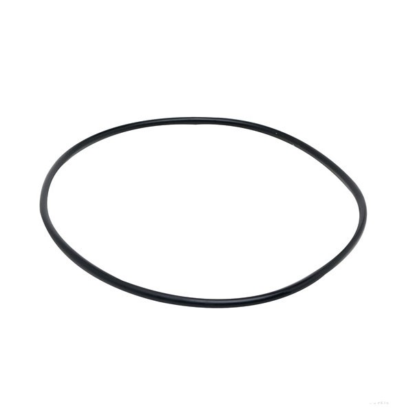 Fluval Motor Seal Ring (304.404)