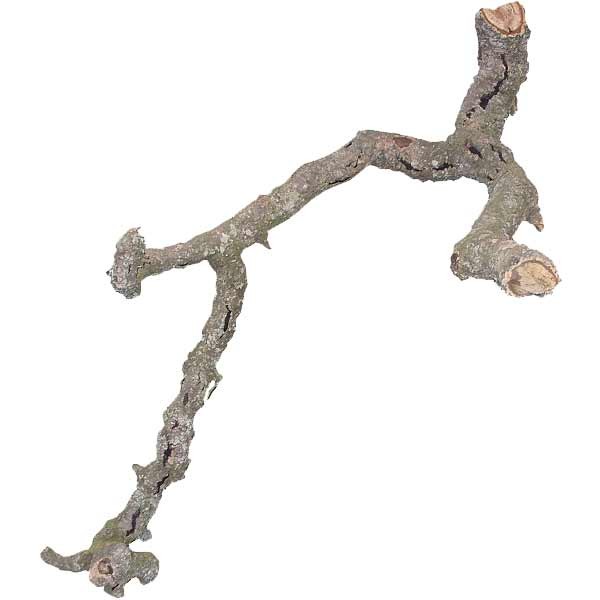 Lucky Reptile Tronchos Cork Oak Branch 60-90cm