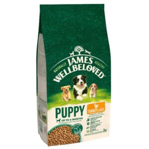 James Wellbeloved Turkey & Rice Puppy 2kg Dry Dog Food