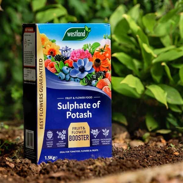 Westland Sulphate of Potash 1.5kg