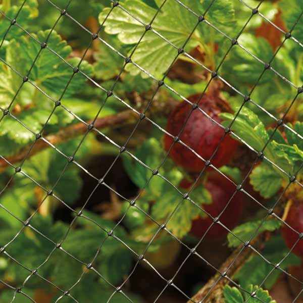 Grow it Crop & Pond Protection Netting 4mx2m