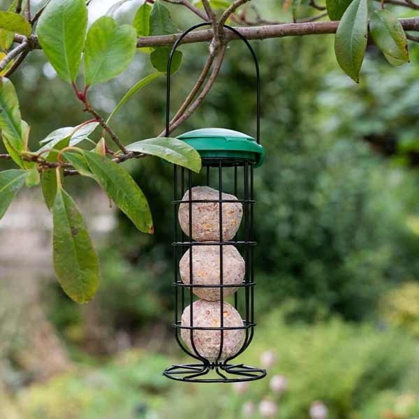 Gardman Wild Bird Care Flip Top Fat Snax Feeder