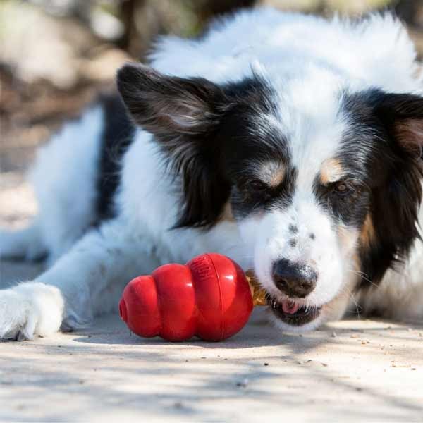 KONG Snacks Liver Small Dog Treat