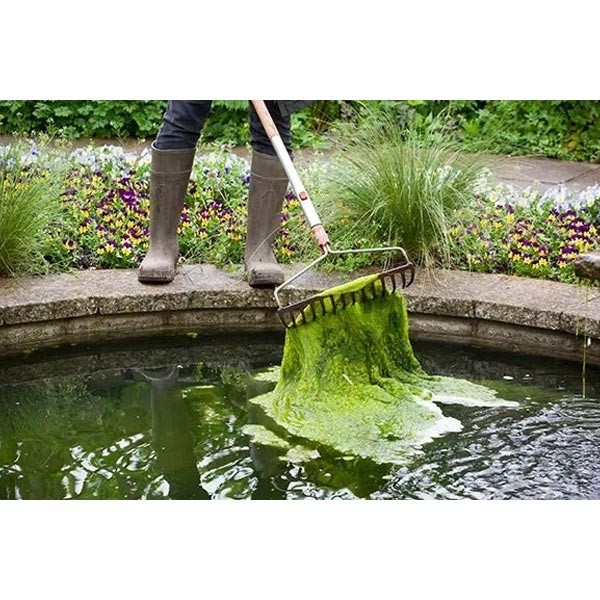 Cloverleaf Blanket Answer Pond Treatment 2kg