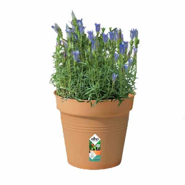 Elho Green Basics Growpot Mild Terra 17cm