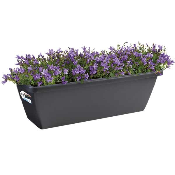 Elho Barcelona Trough Anthracite 50cm Planter