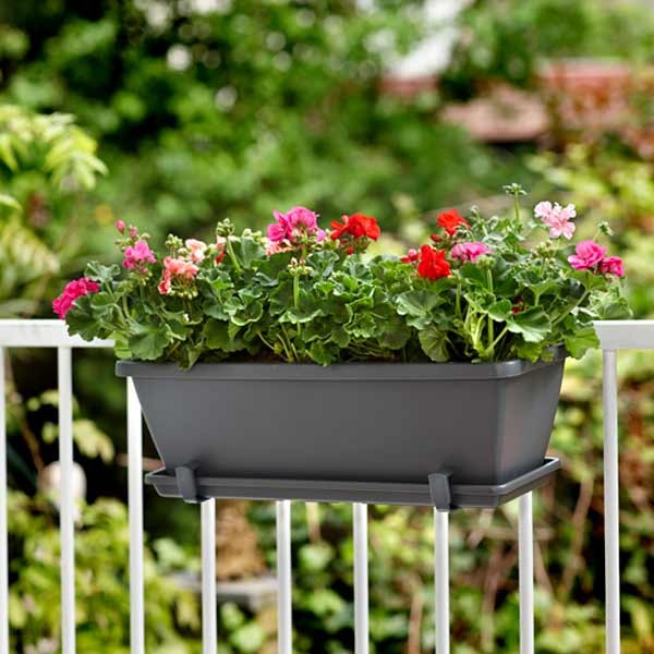 Elho Barcelona Trough Anthracite 50cm Planter