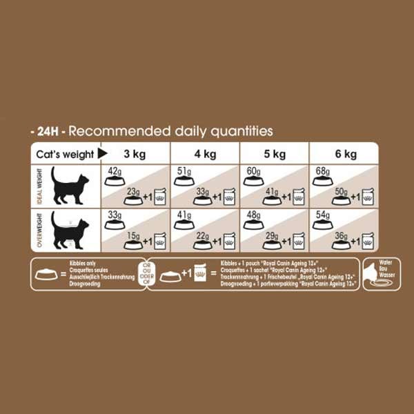 Royal Canin Ageing 12+ 400g Dry Cat Food