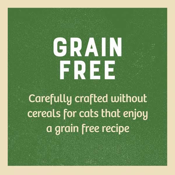 James Wellbeloved Grain Free Turkey in Gravy Adult 12x85g Wet Cat Food