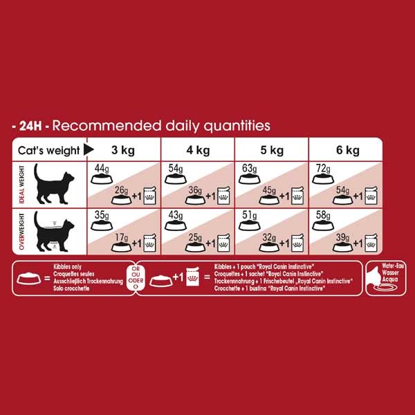 Royal Canin Fit 32 Adult 4kg Dry Cat Food