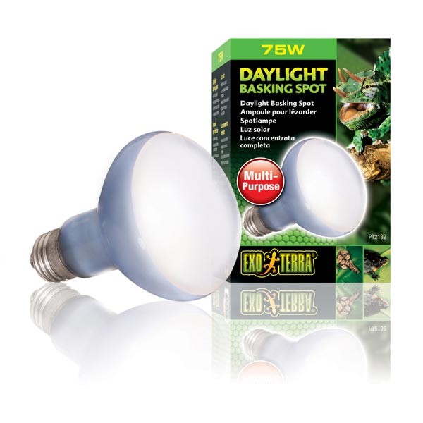 Exo Terra Daylight Basking Spot Lamp - R20 / 75w