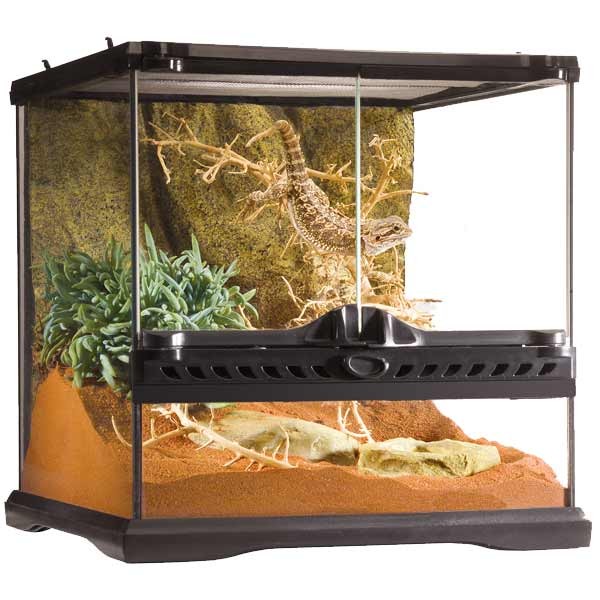 Exo Terra Mini Wide 30x30x30cm Natural Terrarium