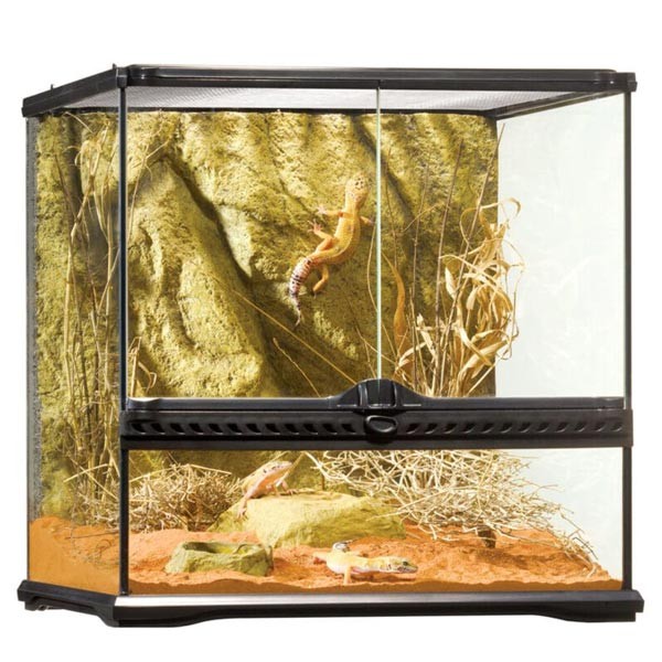 Exo Terra Advanced Glass Reptile Habitat Terrarium Small Wide 45x45x45cm