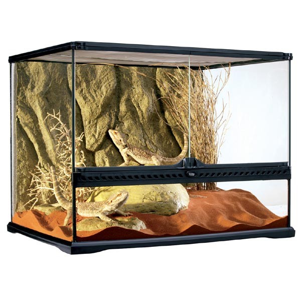 Exo Terra Advanced Glass Reptile Habitat Terrarium Medium Wide 60x45x45cm