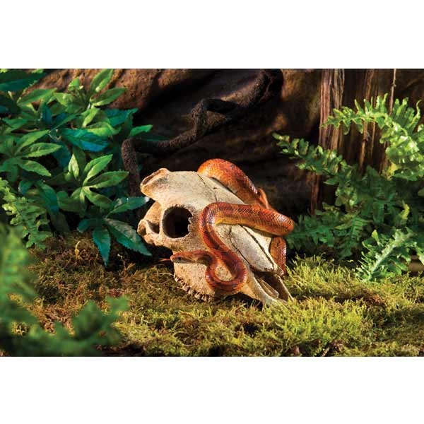 Exo Terra Buffalo Skull Resin Decor