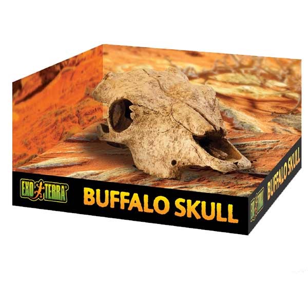 Exo Terra Buffalo Skull Resin Decor