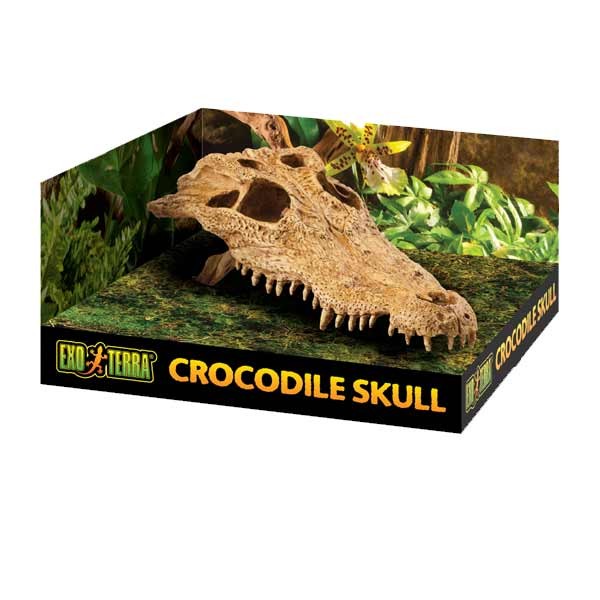 Exo Terra Crocodile Skull Resin Decor