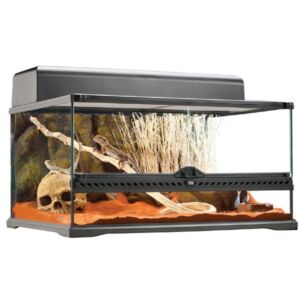 Exo Terra Advanced Glass Reptile Habitat Terrarium Medium Low 60x45x30cm