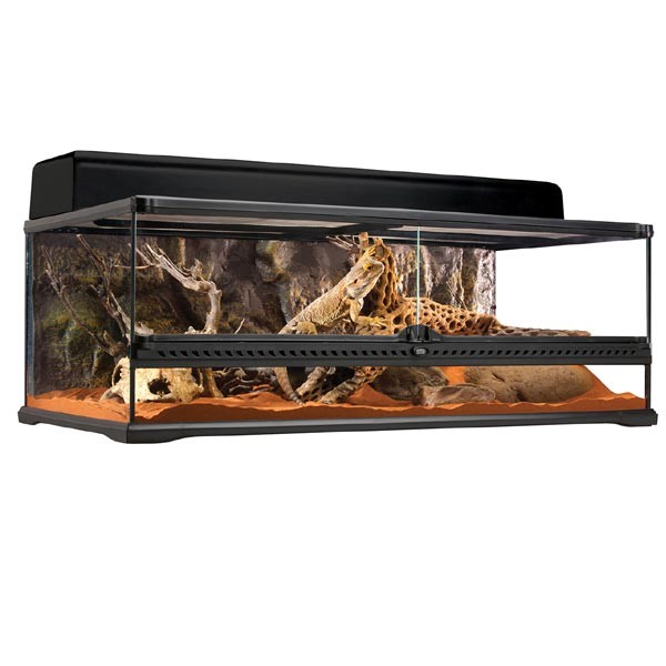 Exo Terra Advanced Glass Reptile Habitat Terrarium Large Low 90x45x30cm