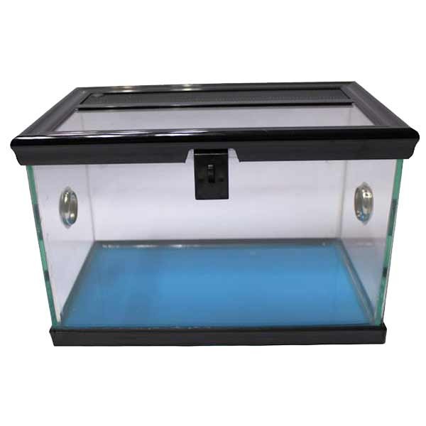 Betta Black 30x18x20cm Spider Tank