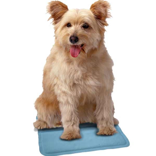 Snugglesafe Cool Pad 30x25cm