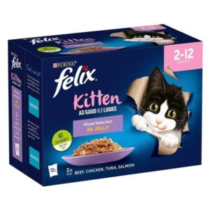 Felix As Good As It Looks Mixed Kitten 12x100g Wet Cat Food