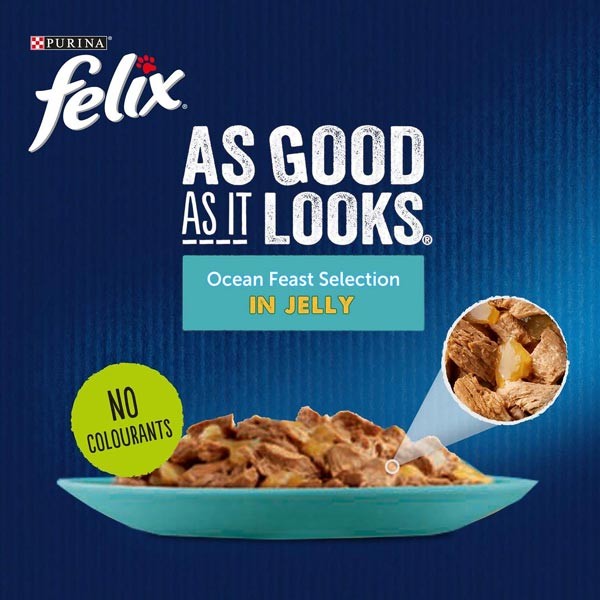 Felix As Good As It Looks Ocean Feast Adult 12x100g Wet Cat Food