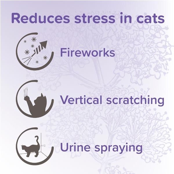 Beaphar Calming Herbal Spot-On for Cats 3 Pack