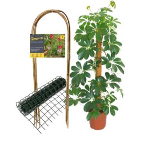 GDC IMAGE 502000 Plant Support & Protectio