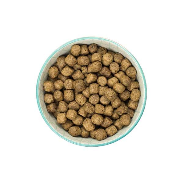 Burns Original Chicken & Brown Rice Adult 2kg Dry Dog Food