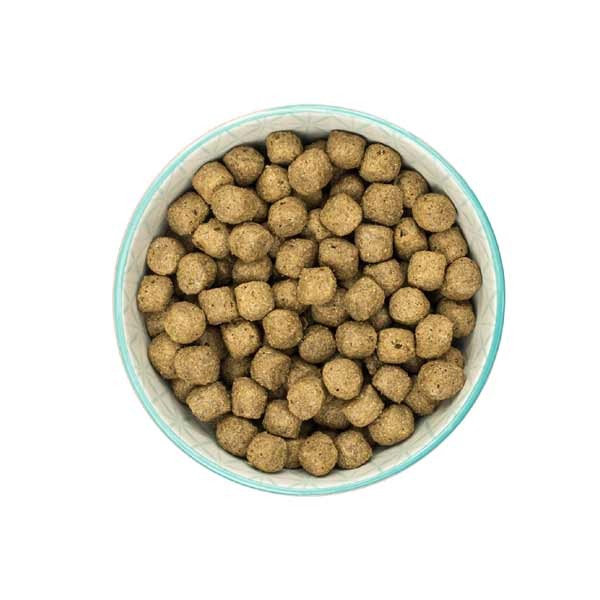 Burns Original Fish & Brown Rice Adult 2kg Dry Dog Food