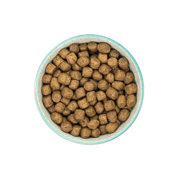 Burns Sensitive Duck & Brown Rice Adult 2kg Dry Dog Food