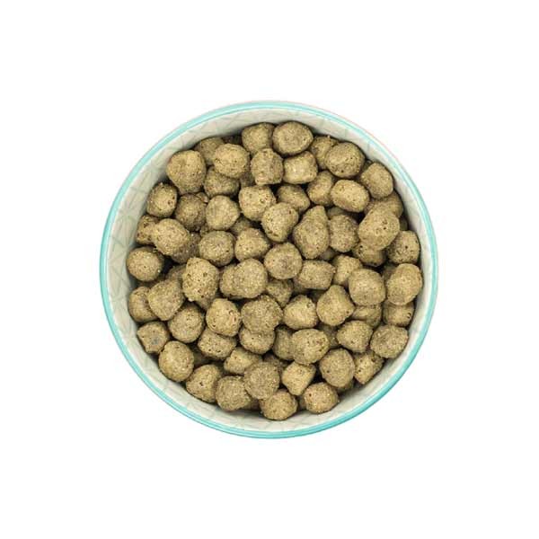 Burns Sensitive Pork & Potato Adult 2kg Dry Dog Food