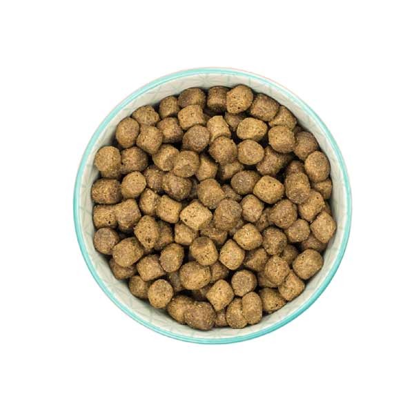 Burns Original Chicken & Brown Rice Puppy 2kg Dry Dog Food