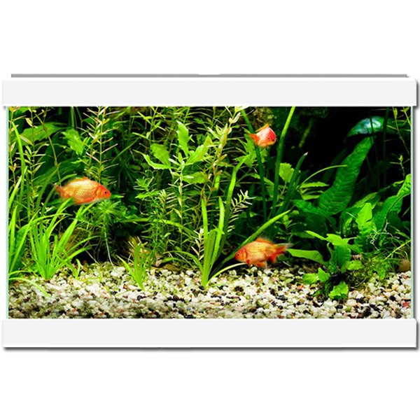 Ciano Aqua 20 LED White Aquarium