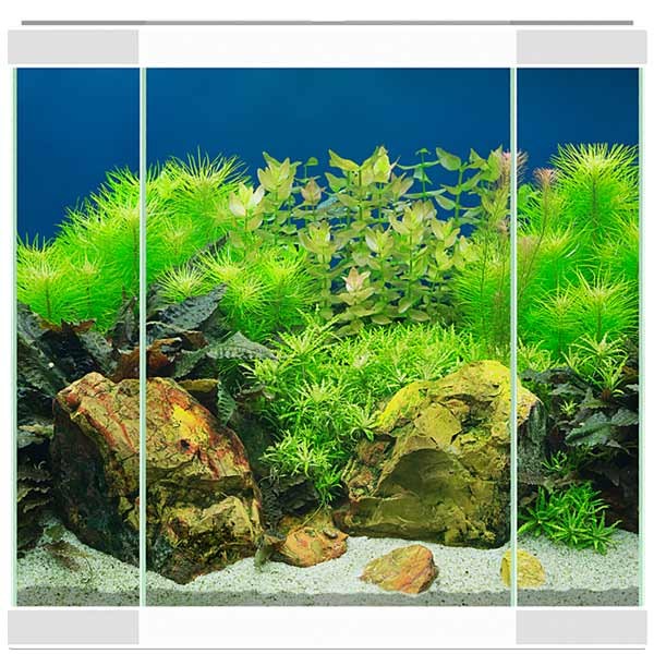 Ciano Aqua 30 White LED Aquarium