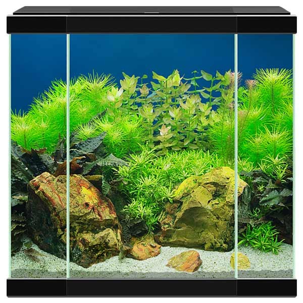 Ciano Aqua 30 Black LED Aquarium