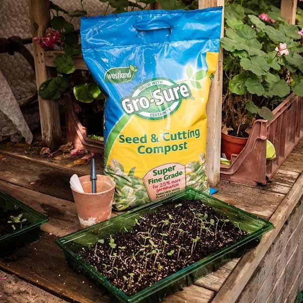 Gro-Sure Seed & Cutting Compost 10 Litres