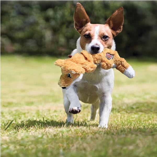 KONG Scrunch Knots Squirrel Medium/Large Dog Toy