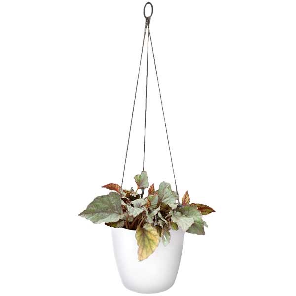 Elho Brussels Hanging Basket White 18cm Flower Pot