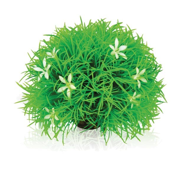 biOrb Topiary Ball with Daisies